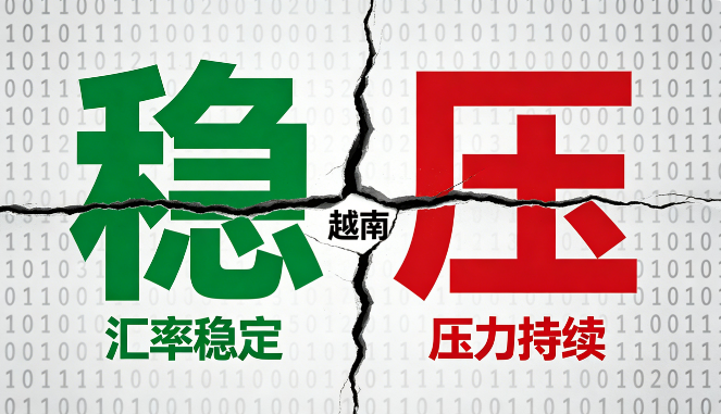 越南汇率稳定背后压力持续